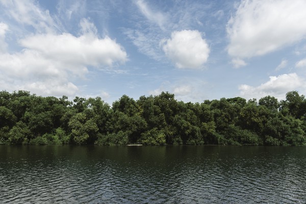 Capa Senado aprova a criação da Campanha Junho Verde