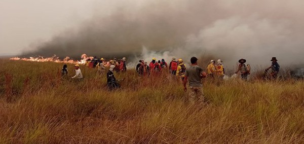 Capa Incêndio destrói 800 mil hectares em área de fronteira da Argentina com o Brasil