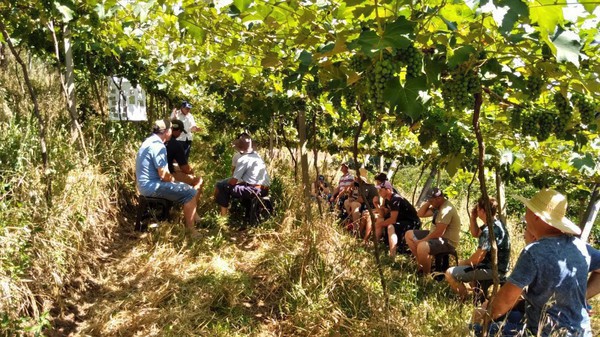 Capa Alpestre: Juntos para Competir!
