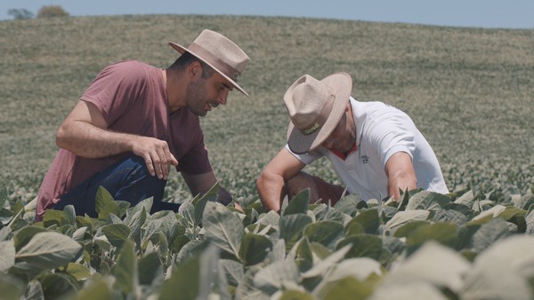 Capa Histórias que Inspiram: Irmãos se juntam para fortalecer a agricultura familiar em Pinhal