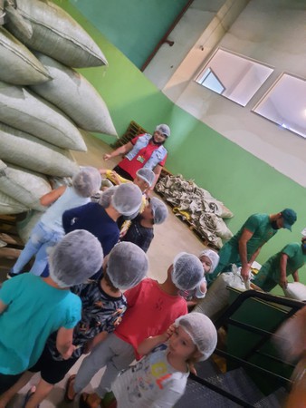 Capa Alunos de escola infantil visitam ervateira em Seberi