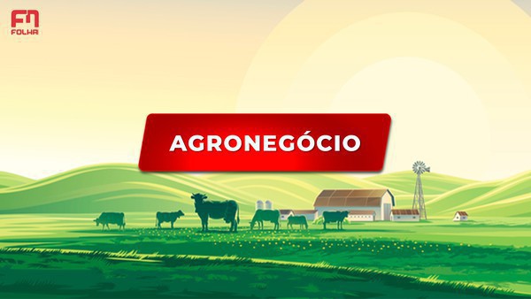 Capa Conab diz que produção de grãos deve atingir 308 milhões de toneladas