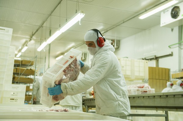 Capa Exportações de carne suína alcançam 1,13 milhão de toneladas em 2021