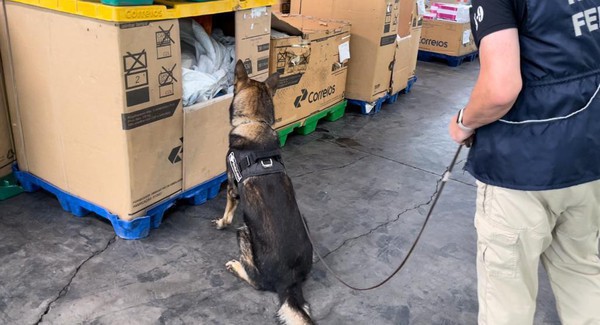 Capa Receita Federal apreende cocaína em encomenda dos Correios