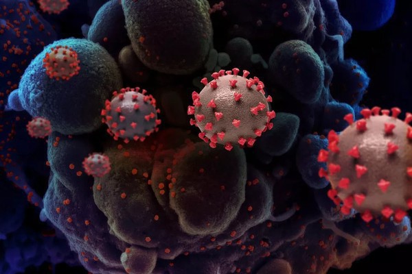 Capa RS registra mais 19 mortes por Covid e média móvel mantém tendência de queda