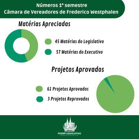Capa Campanhas, dezenas de visitas à comunidade e mais de 60 projetos aprovados marcam primeiro semestre do Legislativo de FW