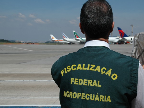 Capa Senado discute projeto que flexibiliza a fiscalização agropecuária
