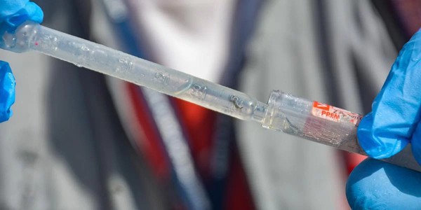Capa Mortes por dengue chegam a 34 no RS, mais do que o triplo de 2021