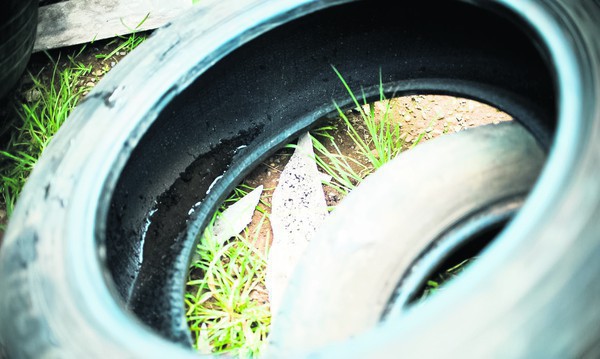 Capa Dengue gera mais um óbito na região