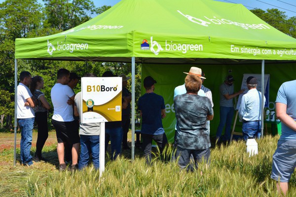 Capa Cotrifred realiza Tarde de Campo
