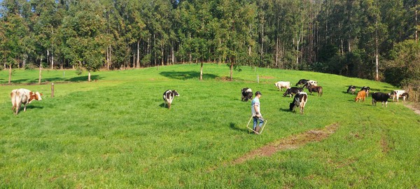 Capa Proprietário rural pode emitir Certificado de Cadastro de Imóvel