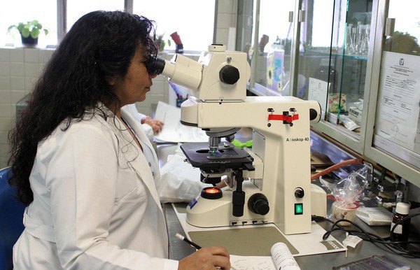 Capa Estudo de vacina contra dengue começa em junho em Porto Alegre e Pelotas