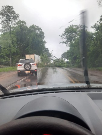 Capa Alerta: árvore caída na BR-386 em FW