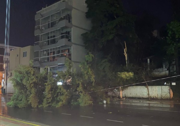Capa FW: Defesa Civil está mobilizada para atender população